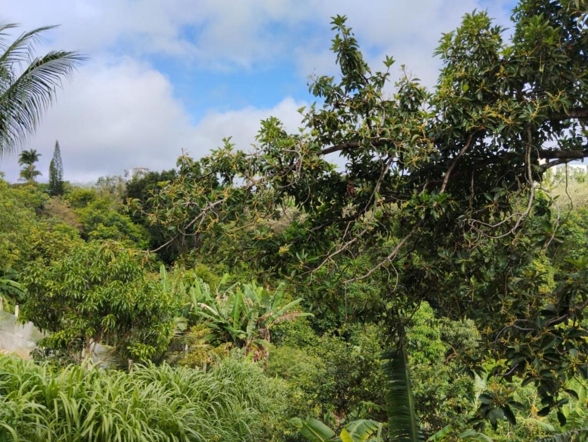 Apartamento Cercado Por Natureza E Diversao Maceió Esterno foto