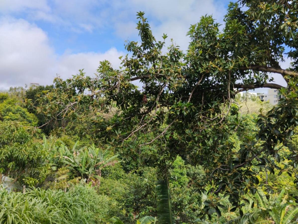 Apartamento Cercado Por Natureza E Diversao Maceió Esterno foto